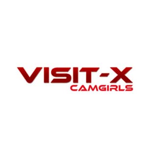 VisitX logo